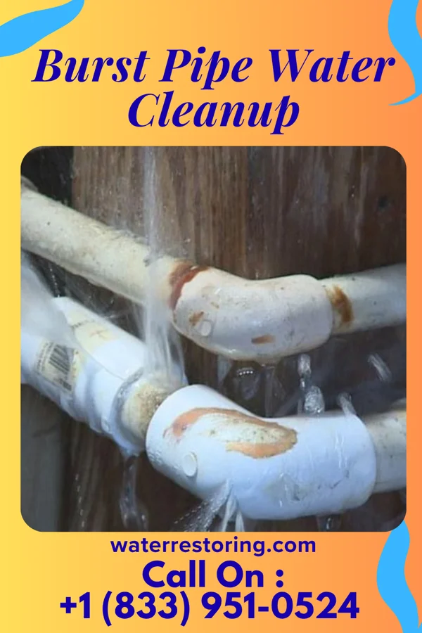 Burst Pipe Water Cleanup in Pocono Springs, PA