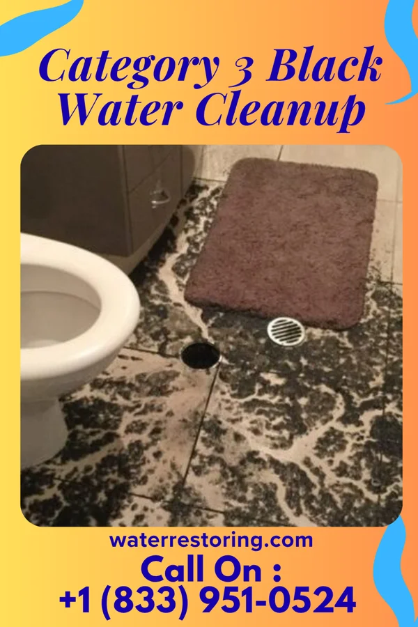 Category 3 Black Water Cleanup in Pocono Springs, PA