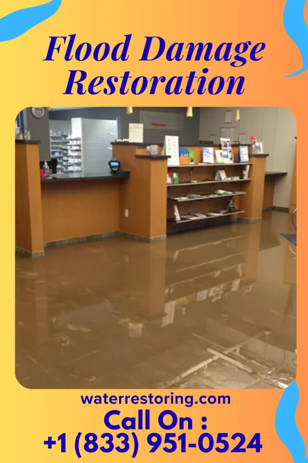 Flood Damage Restoration in Pocono Springs, PA