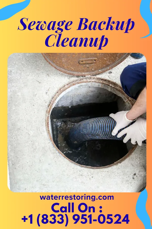 Sewage Backup Cleanup in Pocono Springs, PA