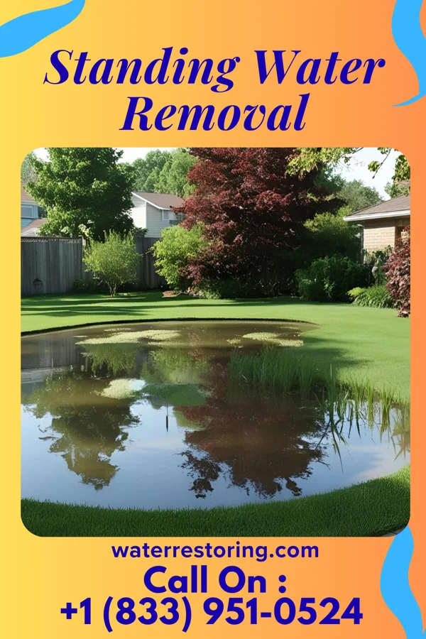 Standing Water Removal in Pocono Springs, PA